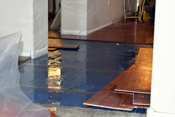 Professional Water Damage Restoration technician working in Madison, IN